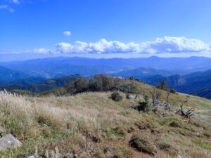 白谷ヶ丸はいい感じだなあ